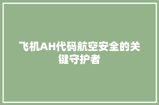 飞机AH代码航空安全的关键守护者