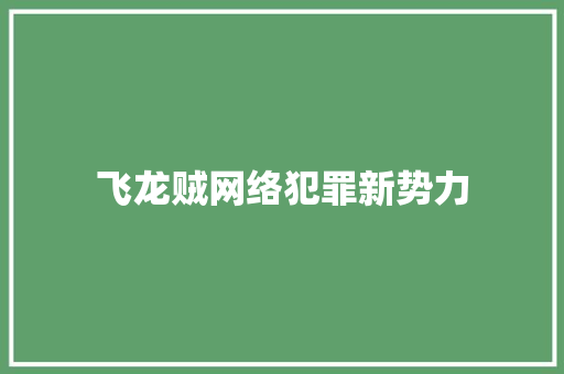 飞龙贼网络犯罪新势力