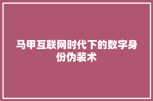 马甲互联网时代下的数字身份伪装术