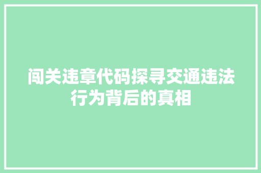 闯关违章代码探寻交通违法行为背后的真相