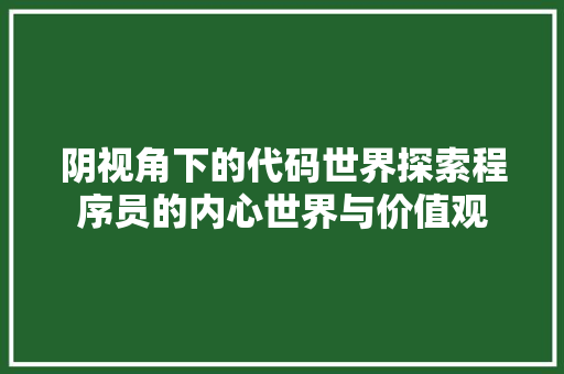 阴视角下的代码世界探索程序员的内心世界与价值观