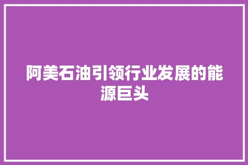 阿美石油引领行业发展的能源巨头