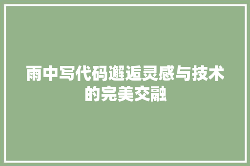 雨中写代码邂逅灵感与技术的完美交融