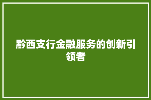 黔西支行金融服务的创新引领者