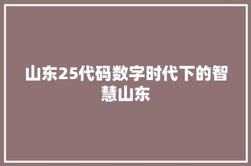 山东25代码数字时代下的智慧山东
