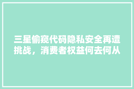 三星偷窥代码隐私安全再遭挑战，消费者权益何去何从