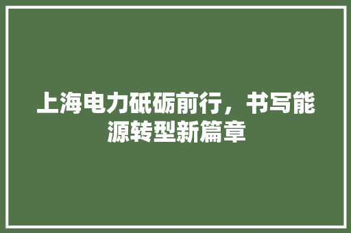 上海电力砥砺前行，书写能源转型新篇章