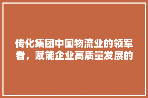传化集团中国物流业的领军者，赋能企业高质量发展的探路者