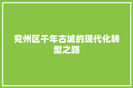 兖州区千年古城的现代化转型之路