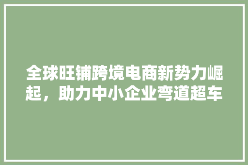 全球旺铺跨境电商新势力崛起，助力中小企业弯道超车