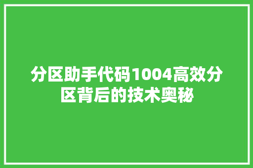 分区助手代码1004高效分区背后的技术奥秘