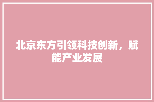 北京东方引领科技创新，赋能产业发展
