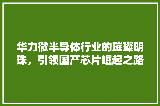 华力微半导体行业的璀璨明珠，引领国产芯片崛起之路