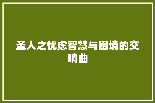圣人之忧虑智慧与困境的交响曲