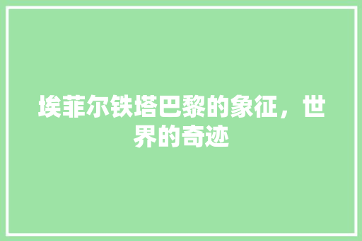 埃菲尔铁塔巴黎的象征，世界的奇迹