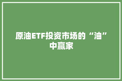 原油ETF投资市场的“油”中赢家