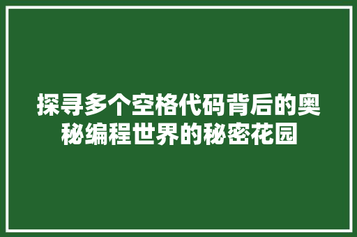探寻多个空格代码背后的奥秘编程世界的秘密花园