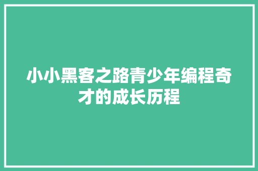 小小黑客之路青少年编程奇才的成长历程