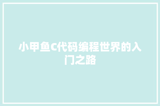 小甲鱼C代码编程世界的入门之路