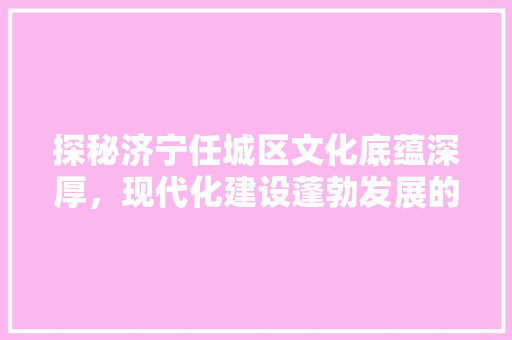 探秘济宁任城区文化底蕴深厚，现代化建设蓬勃发展的魅力之城