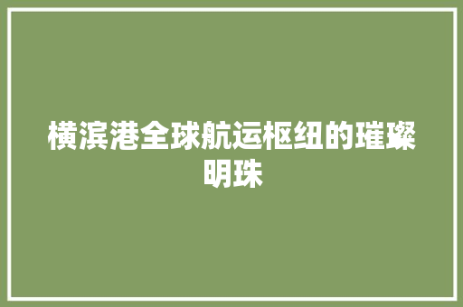 横滨港全球航运枢纽的璀璨明珠