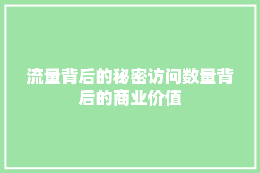 流量背后的秘密访问数量背后的商业价值