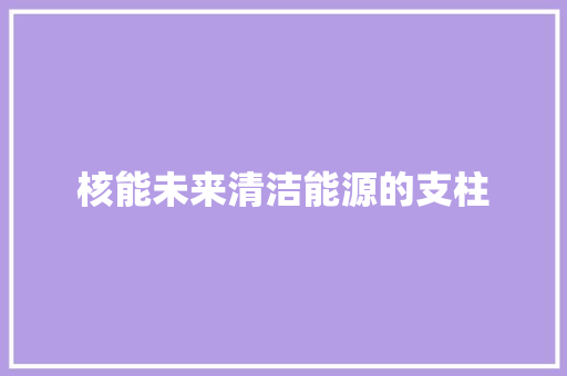 核能未来清洁能源的支柱
