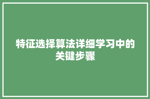 特征选择算法详细学习中的关键步骤