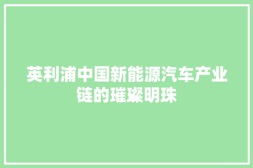 英利浦中国新能源汽车产业链的璀璨明珠