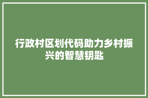 行政村区划代码助力乡村振兴的智慧钥匙