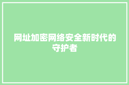 网址加密网络安全新时代的守护者