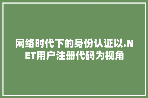 网络时代下的身份认证以.NET用户注册代码为视角