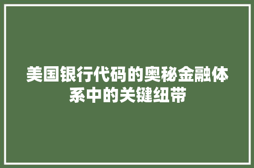 美国银行代码的奥秘金融体系中的关键纽带