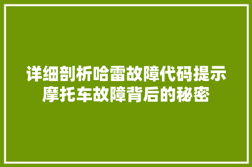 详细剖析哈雷故障代码提示摩托车故障背后的秘密