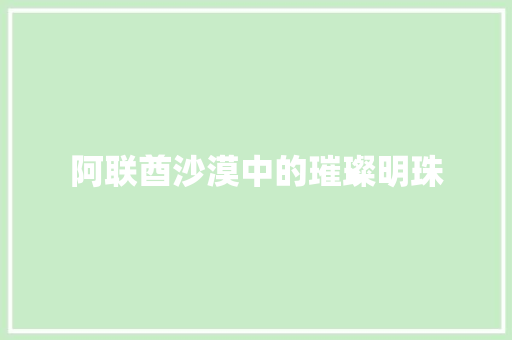 阿联酋沙漠中的璀璨明珠
