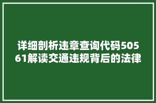 详细剖析违章查询代码50561解读交通违规背后的法律与伦理问题