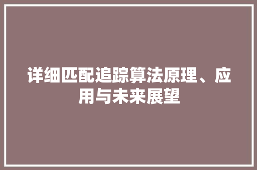 详细匹配追踪算法原理、应用与未来展望