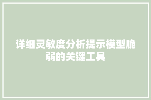 详细灵敏度分析提示模型脆弱的关键工具