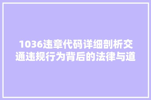1036违章代码详细剖析交通违规行为背后的法律与道德考量