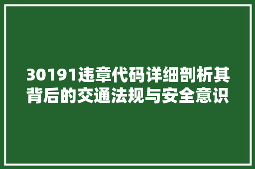 30191违章代码详细剖析其背后的交通法规与安全意识
