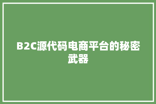 B2C源代码电商平台的秘密武器