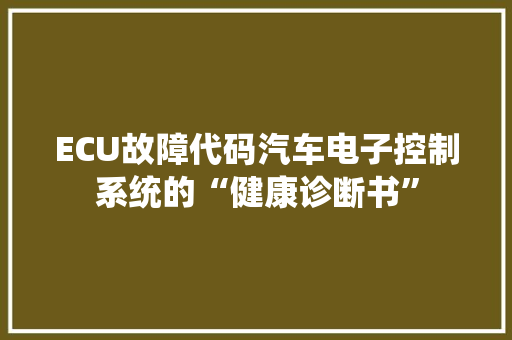 ECU故障代码汽车电子控制系统的“健康诊断书”