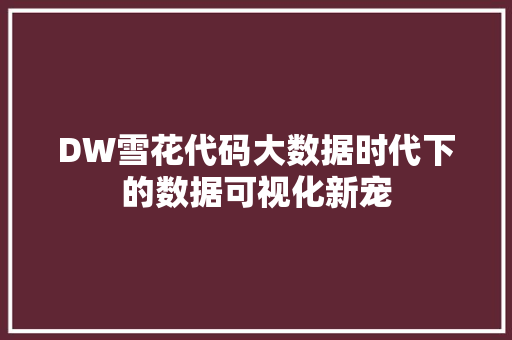 DW雪花代码大数据时代下的数据可视化新宠