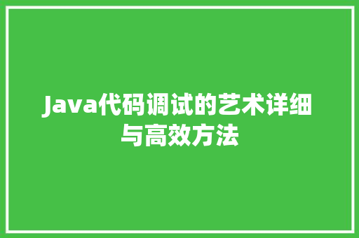 Java代码调试的艺术详细与高效方法