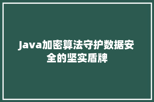 Java加密算法守护数据安全的坚实盾牌