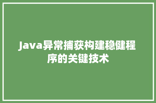 Java异常捕获构建稳健程序的关键技术