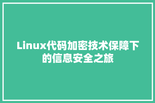Linux代码加密技术保障下的信息安全之旅