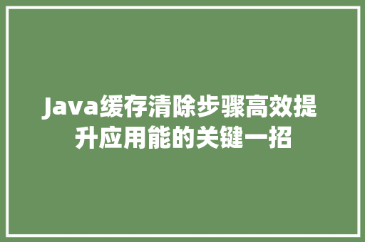 Java缓存清除步骤高效提升应用能的关键一招