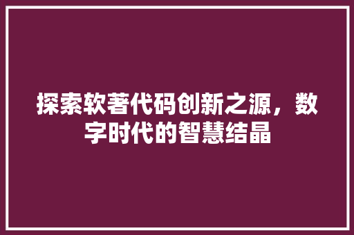 探索软著代码创新之源，数字时代的智慧结晶