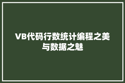 VB代码行数统计编程之美与数据之魅